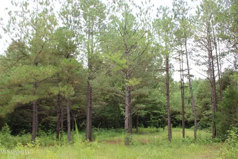390 Mckee Rd, Falkner, MS 38629 photo 16
