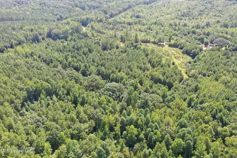390 Mckee Rd, Falkner, MS 38629 photo 2