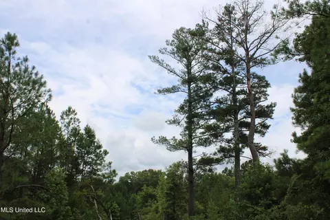 390 Mckee Rd, Falkner, MS 38629 photo 14