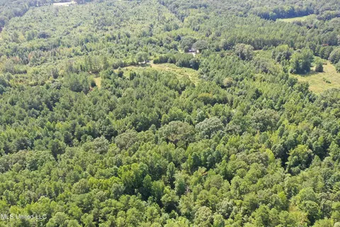 390 Mckee Rd, Falkner, MS 38629 photo 3