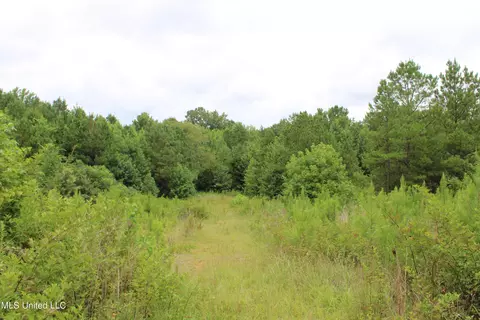 390 Mckee Rd, Falkner, MS 38629 photo 21