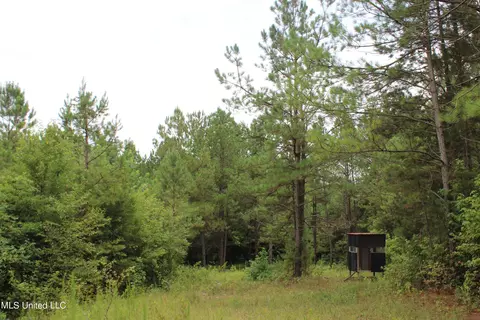 390 Mckee Rd, Falkner, MS 38629 photo 15