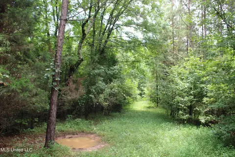 390 Mckee Rd, Falkner, MS 38629 photo 24