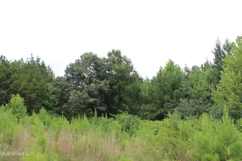 390 Mckee Rd, Falkner, MS 38629 photo 27