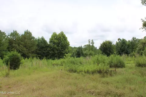 390 Mckee Rd, Falkner, MS 38629 photo 9