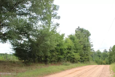 390 Mckee Rd, Falkner, MS 38629 photo 8