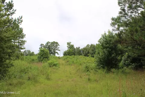 390 Mckee Rd, Falkner, MS 38629 photo 26