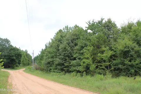 390 Mckee Rd, Falkner, MS 38629 photo 10