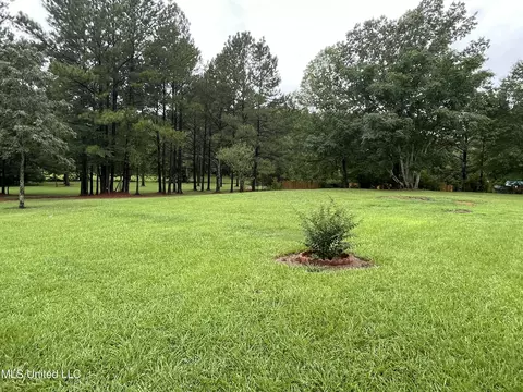 Exterior - 214 Boteler Rd, Florence, MS 39073 photo 15 of 22