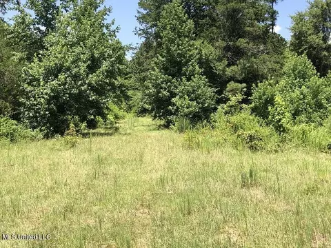 Helm Rd, Pickens, MS 39146 photo 7