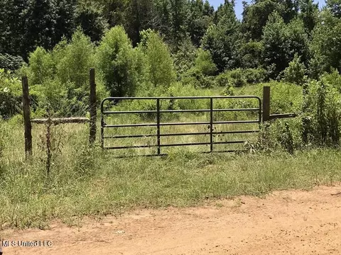 Helm Rd, Pickens, MS 39146 photo 8