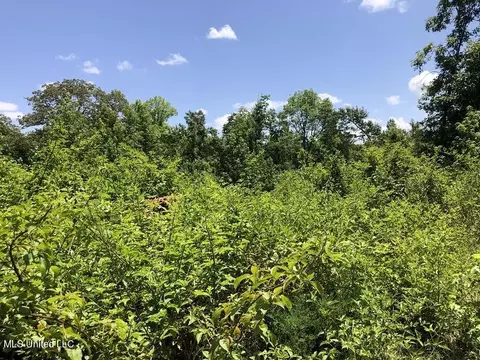 Helm Rd, Pickens, MS 39146 photo 4