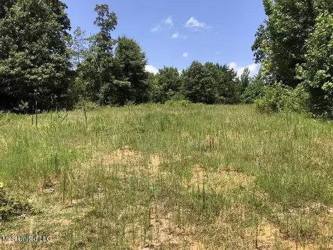 Helm Rd, Pickens, MS 39146 photo 5