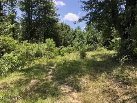 Helm Rd, Pickens, MS 39146 photo 2
