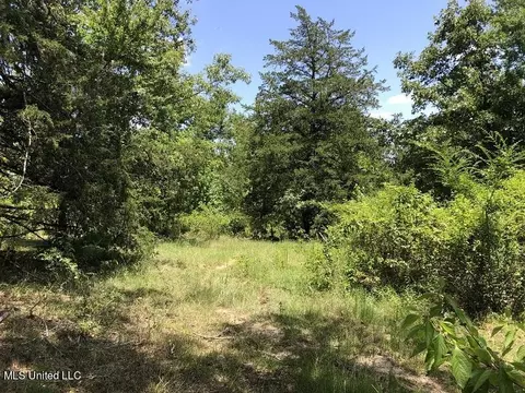 Helm Rd, Pickens, MS 39146 photo 3