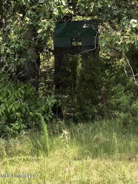 Helm Rd, Pickens, MS 39146 photo 6