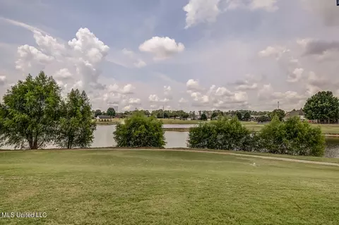 View/Area - 1437 Chime Cv, Hernando, MS 38632 photo 1 of 1