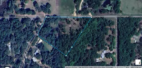 161 Ellis Hodge Rd, Lucedale, MS 39452 photo 18