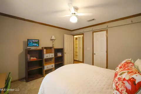 Other - 33 Moss Woods Pl, Madison, MS 39110 photo 4 of 9