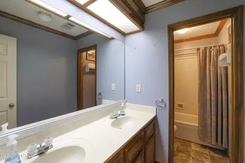 Bath - 33 Moss Woods Pl, Madison, MS 39110 photo 3 of 3