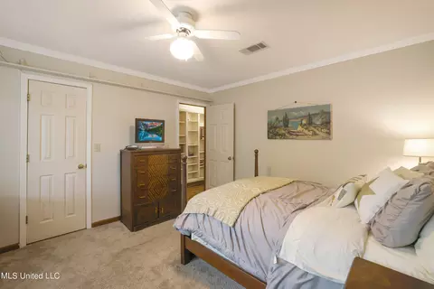 Other - 33 Moss Woods Pl, Madison, MS 39110 photo 5 of 9
