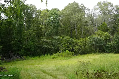1850 Thigpen Road Rd, Raymond, MS 39154 photo 15