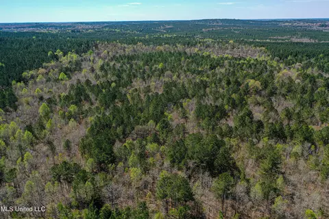Plattsburg-mt Calvary Road, Noxapater, MS 39346