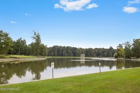407 Heritage Pl, Flowood, MS 39232 photo 68