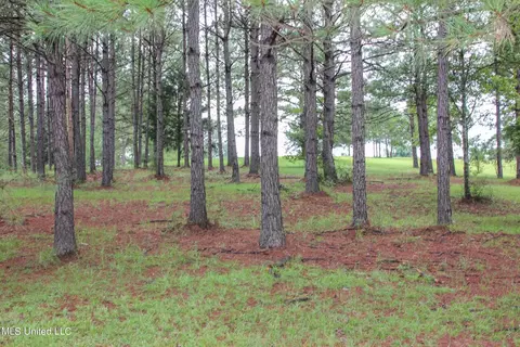 Other - 547 County Road 19, Stringer, MS 39481 photo 10 of 22
