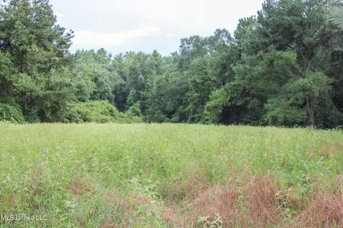 Other - 547 County Road 19, Stringer, MS 39481 photo 19 of 22