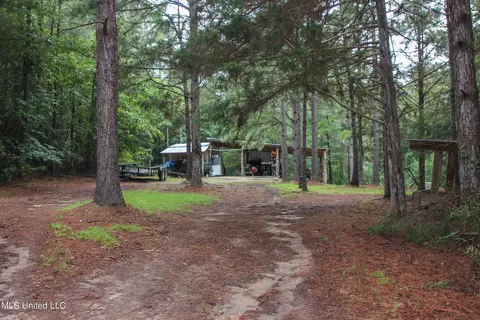 Exterior - 547 County Road 19, Stringer, MS 39481 photo 7 of 7