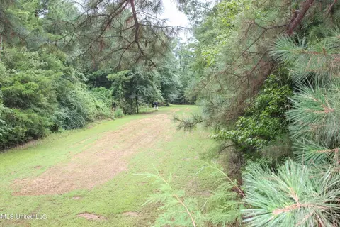 Other - 547 County Road 19, Stringer, MS 39481 photo 17 of 22