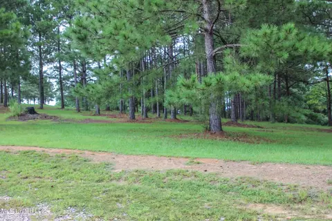Other - 547 County Road 19, Stringer, MS 39481 photo 9 of 22