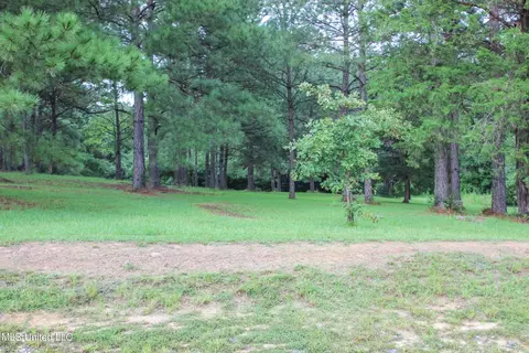 Other - 547 County Road 19, Stringer, MS 39481 photo 8 of 22