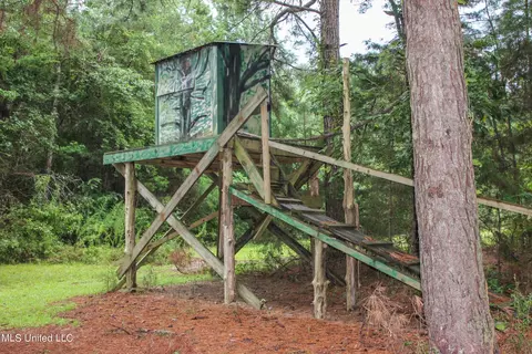 Other - 547 County Road 19, Stringer, MS 39481 photo 16 of 22