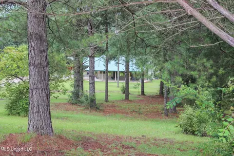 Other - 547 County Road 19, Stringer, MS 39481 photo 6 of 22