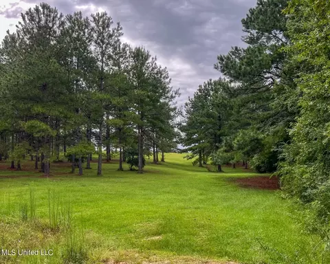 Other - 547 County Road 19, Stringer, MS 39481 photo 12 of 22
