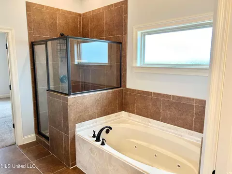 1631 Imboden Cv, Nesbit, MS 38651 photo 18