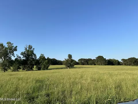 1002 Ms-532, Mount Olive, MS 39119 photo 8