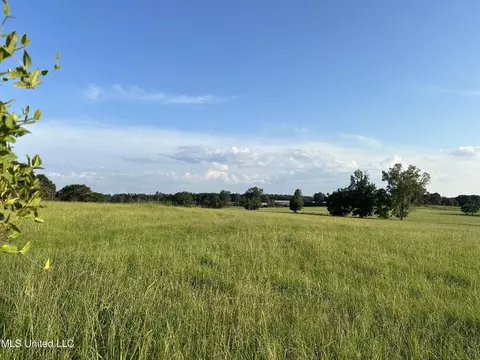 1002 Ms-532, Mount Olive, MS 39119 photo 4