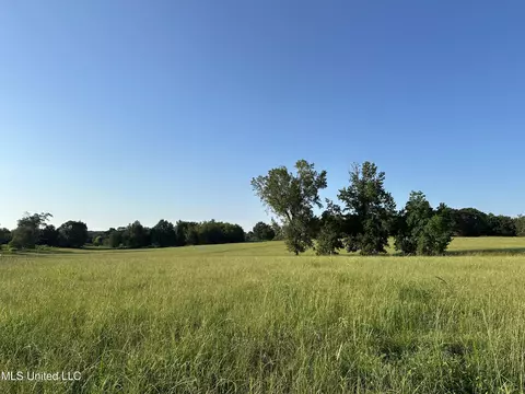 1002 Ms-532, Mount Olive, MS 39119 photo 9