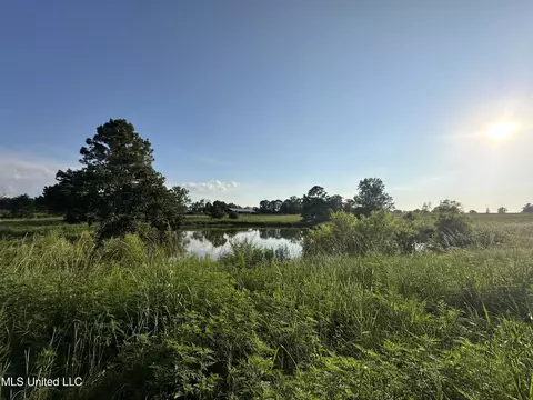 1002 Ms-532, Mount Olive, MS 39119 photo 6