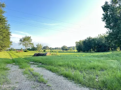 1002 Ms-532, Mount Olive, MS 39119 photo 2