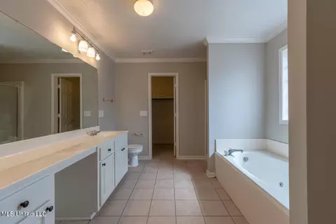 Bath - 116 Planters Row, Madison, MS 39110 photo 2 of 4