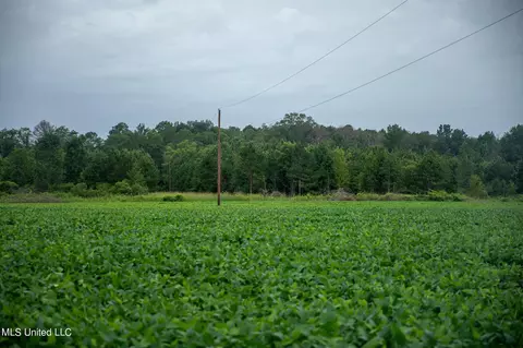 Russum Road, Forest, MS 39074 photo 2
