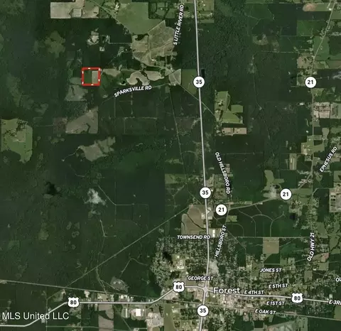 Russum Road, Forest, MS 39074 photo 22