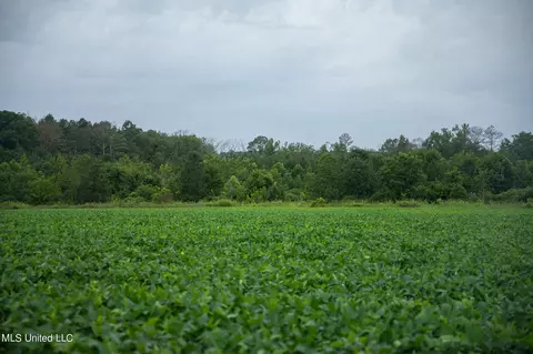 Russum Road, Forest, MS 39074 photo 15