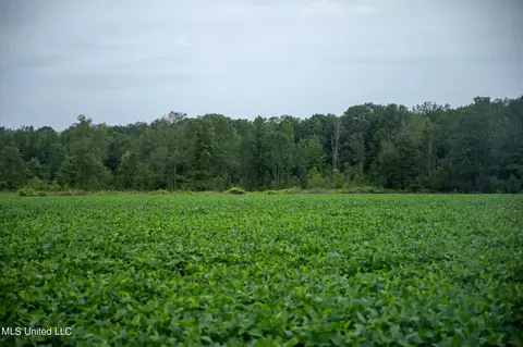 Russum Road, Forest, MS 39074 photo 14