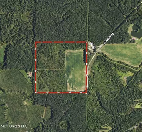 Russum Road, Forest, MS 39074 photo 23