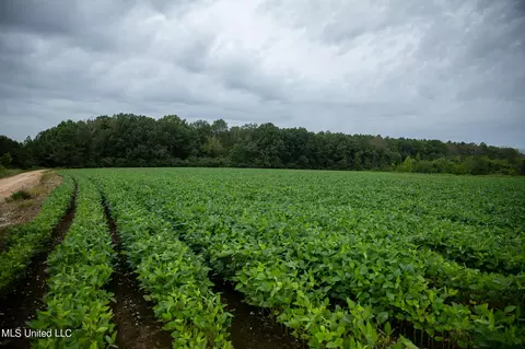Russum Road, Forest, MS 39074 photo 20
